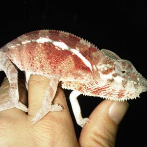male3