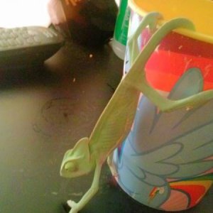reptar8 9