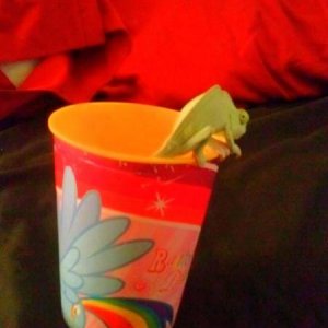 cupfeeding