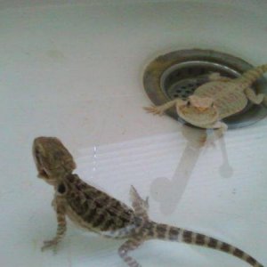 Morty and Ethel soaking