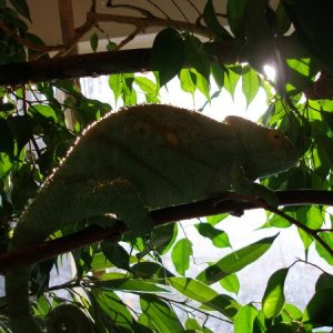 P1010514