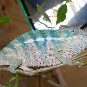 P1010527