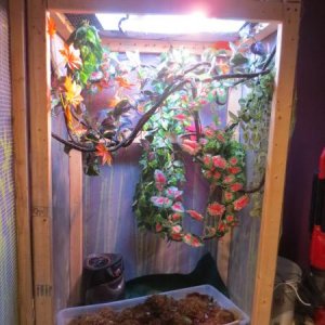 Oscars tank