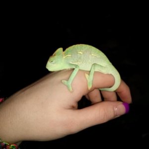 When pascal first got home:)