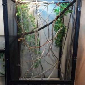 Fred's cage