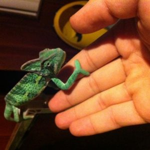 needed a hand