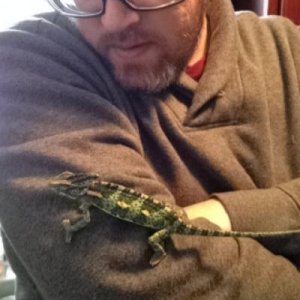 Out for a ride on my arm.
