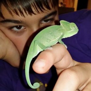 My oldest son holding his cham, Camo.