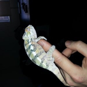 20140103 135059