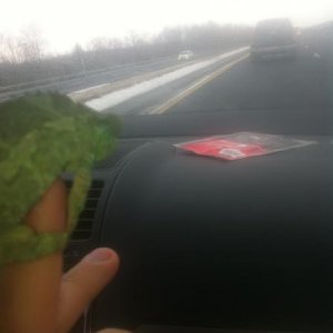 Full steam ahead captain. She loves car rides