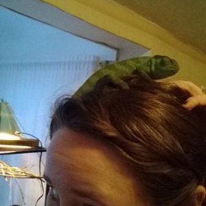 Found a new place to perch