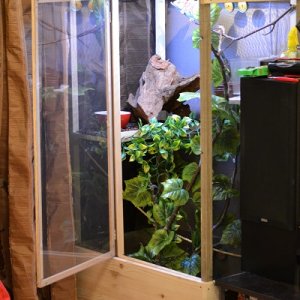 Rangoo's Place