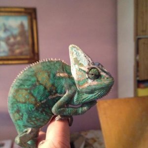 Emilio