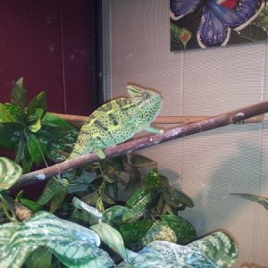 A little grumpy today?
