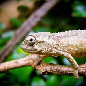 female baby4