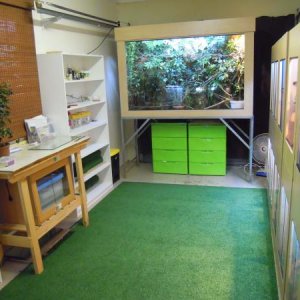 inside1