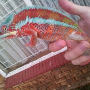 IMG 20130606 WA000