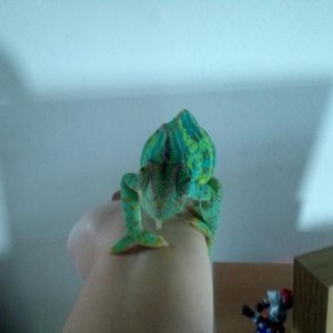 IMG 20140125 112711