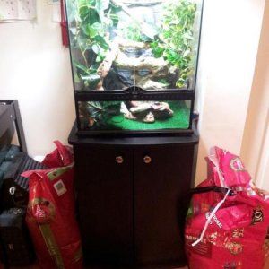 I used a 29 gallon biocube stand