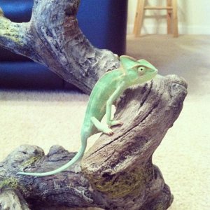 When i first got her