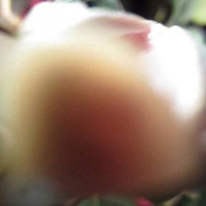 November 14th, 2013- Camera is tasty!