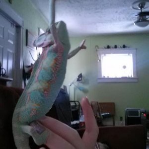 Reachin' high
