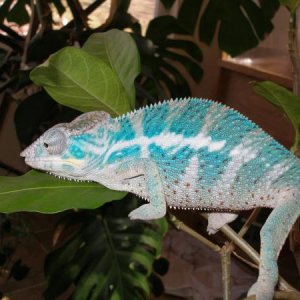 P1010196