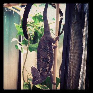 Mr Mr- hanging out!