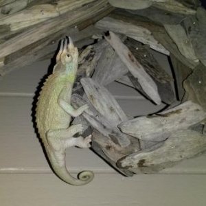 20140220 170632