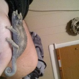 20131025 233529