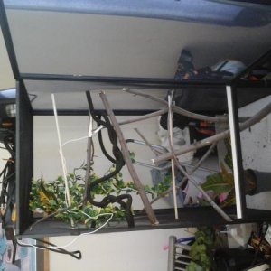 20140227 094759