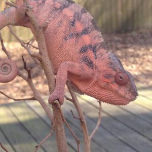 A little outside time on a warm day in March