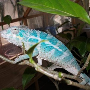 P1010185