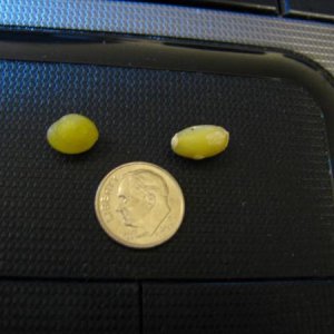 Eggs with no shells!