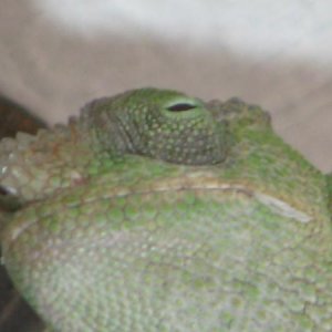 IMG 0544