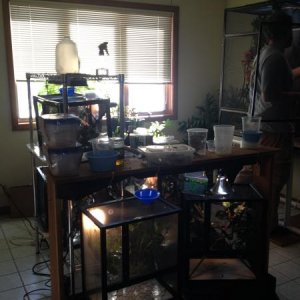 baby cages and part of the chameleon room.