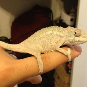 He was so tiny :)