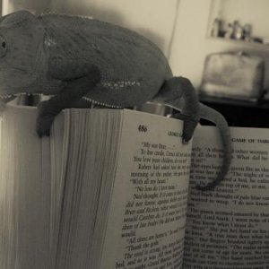 A few of my favorite things...