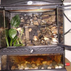 BABY CRESTED TANK