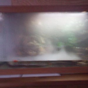 IMG 20131219 165707