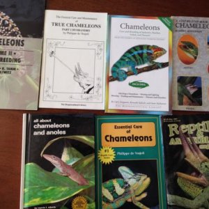 cham books