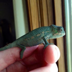 1926718 10151940797542051 886102979 n