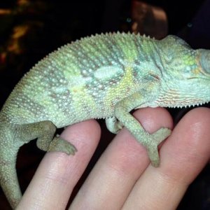 10155433 10151993162502051 3354012316714146813 n