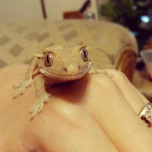 I love how Valintine looks like he is always smiling