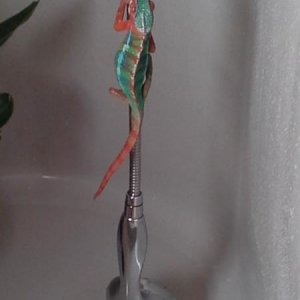 Memphis in the shower