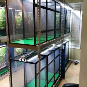 Breeding room.
