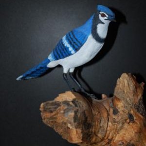bluebird4