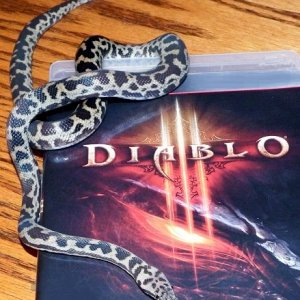 Diablo