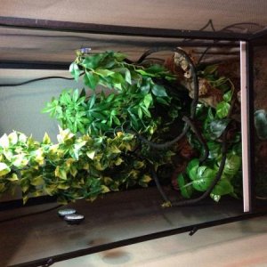 Whole enclosure