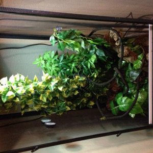 Whole Enclosure